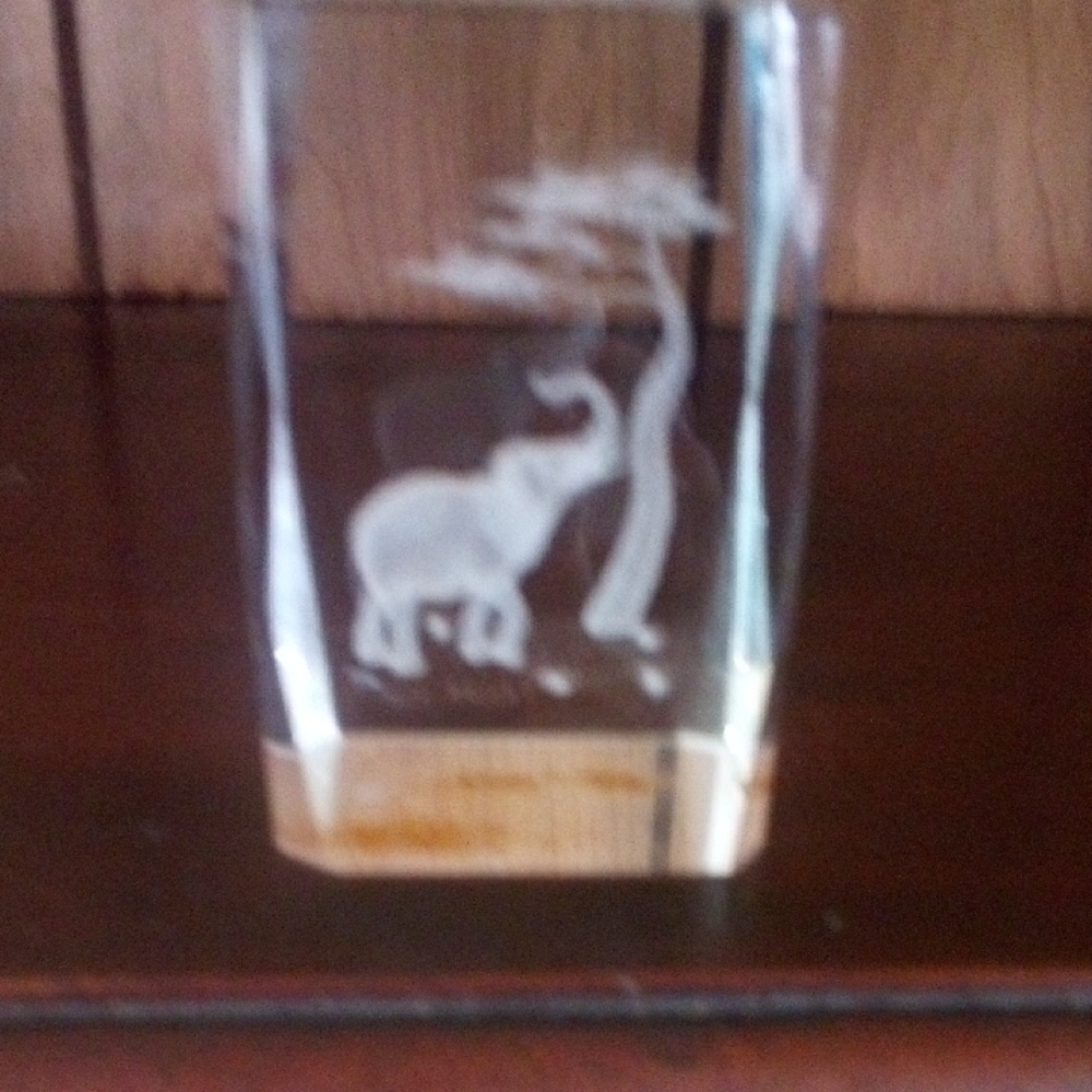 White Glass Art Elephant Silhouette